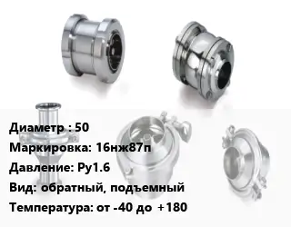 Клапан нержавеющий 50 16нж87п Ру1.6 обратный, подъемный от -40 до +180